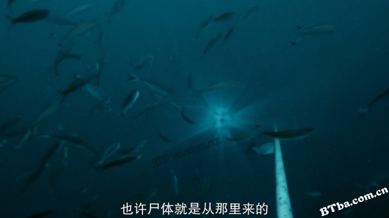 丧尸潮/Zombie Tidal Wave