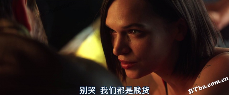 美国最后一宗罪案/美国犯罪的末日/美国犯罪的最后日子/The Last Days of American Crime