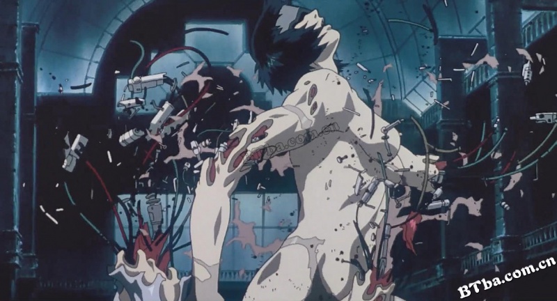 攻壳机动队/Ghost in the Shell