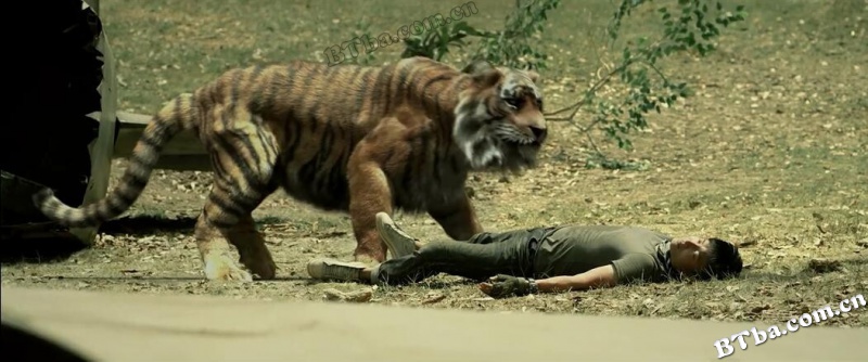致命丛林/Fatal Jungle