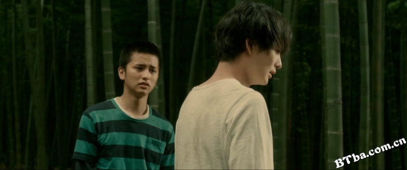 流浪者年代记/Strayer's Chronicle 流浪者年代记/Strayer's Chronicle