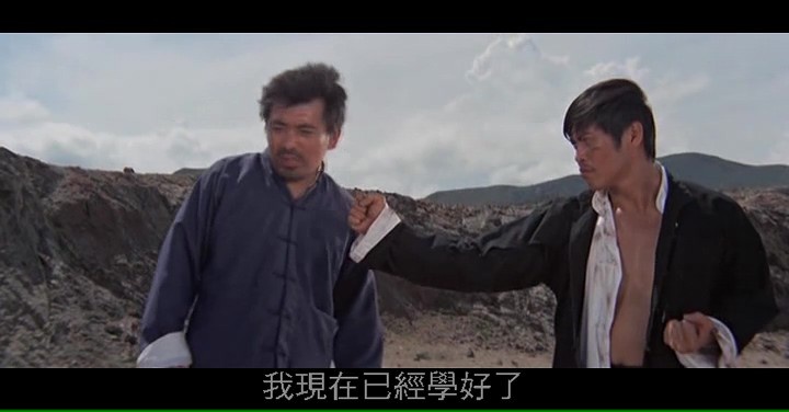 亡命徒/The Fugitive