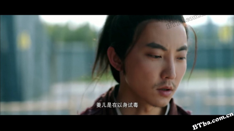 侠僧探案传奇之洛阳花会/侠僧探案传奇5/少林寺探案传奇之洛阳花会