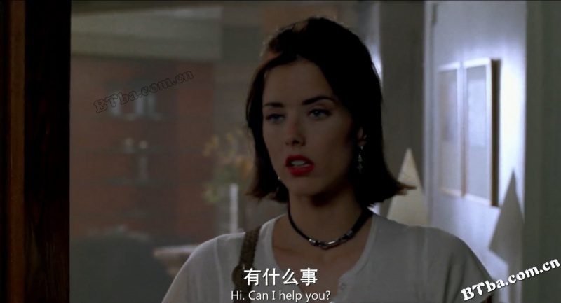 绝地战警/坏小子/重案梦幻组/Bad Boys