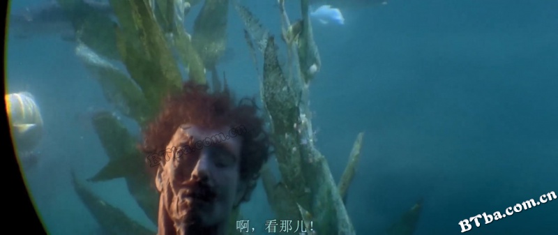 大白鲨3/Jaws 3-D