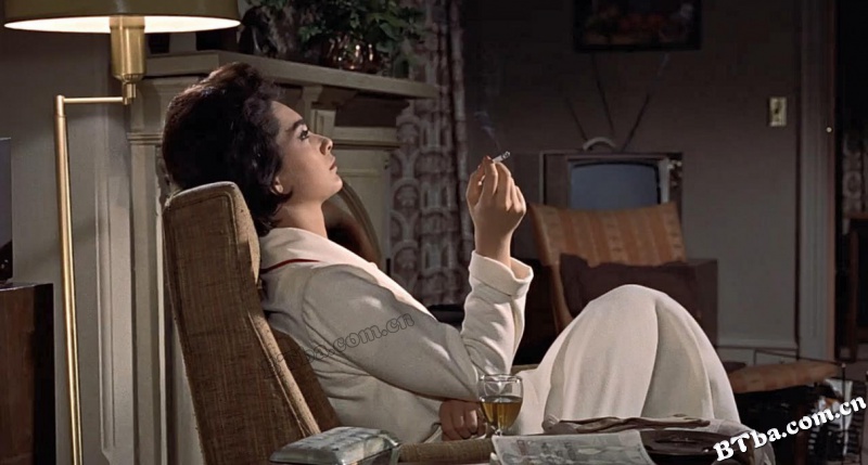 群鸟/鸟/Alfred Hitchcock's The Birds