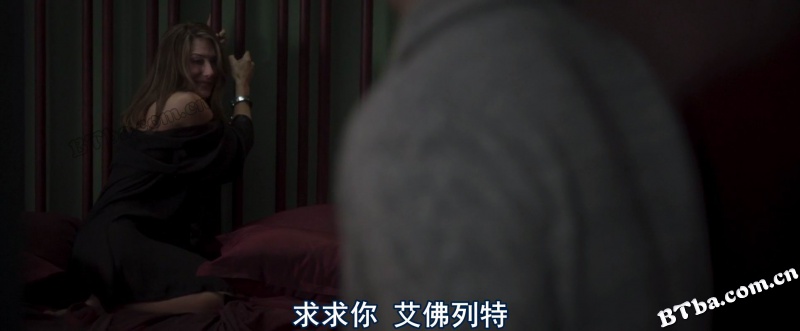 致命出轨/谋杀绿帽子/An Affair to Die For