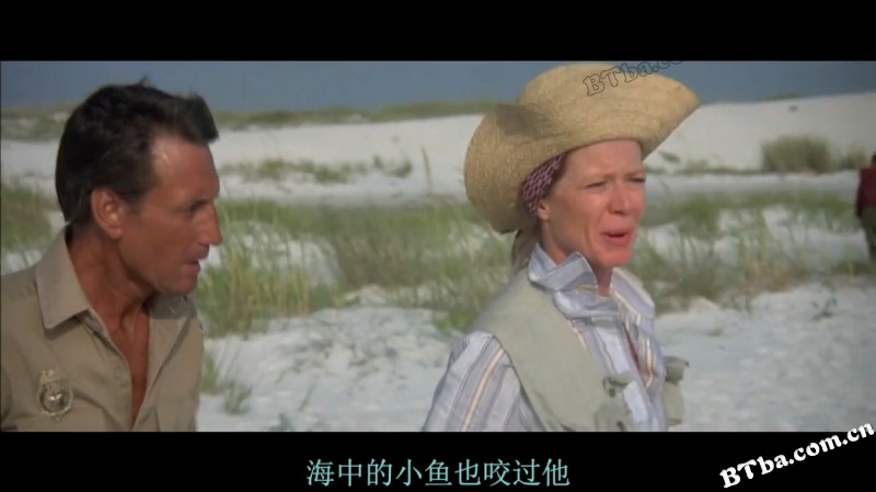 大白鲨2/大白鲨续集/Jaws 2