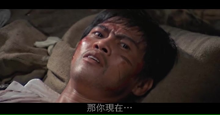 亡命徒/The Fugitive