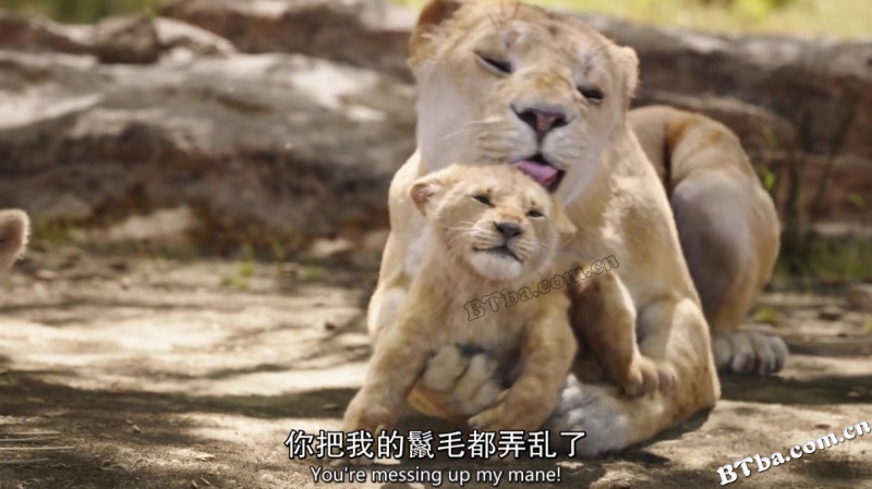 狮子王/狮子王真实版/狮子王真人版/The Lion King
