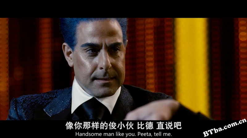 饥饿游戏/Th Hunger Games