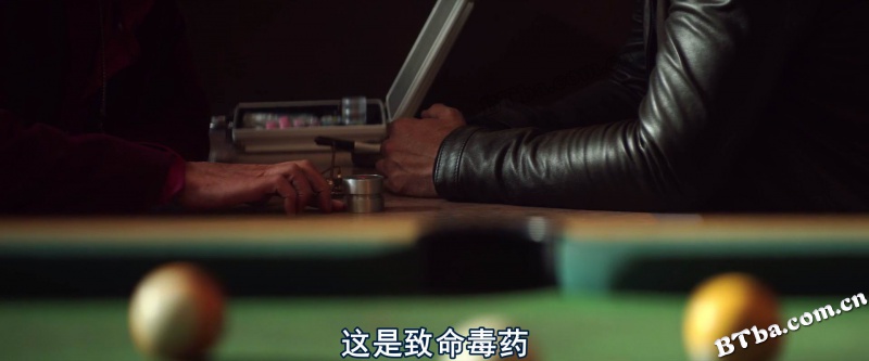 美国最后一宗罪案/美国犯罪的末日/美国犯罪的最后日子/The Last Days of American Crime