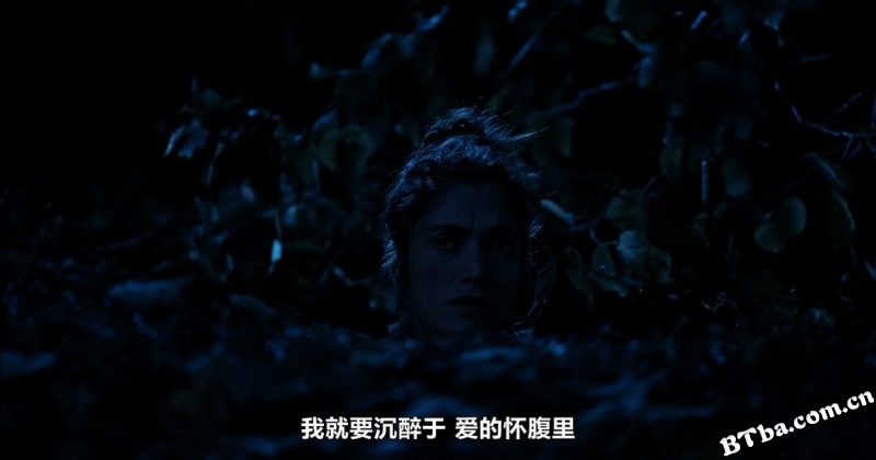 佩尔德利/Perdrix