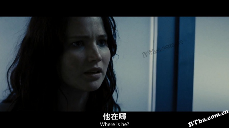 饥饿游戏2：星火燎原/饥饿游戏 第二部/燃烧的女孩