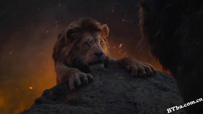 狮子王/狮子王真实版/狮子王真人版/The Lion King