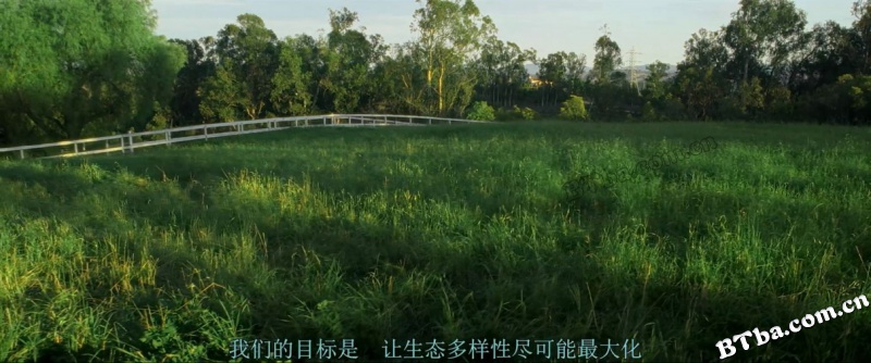 最大的小小农场/我家有个开心农场(台)/The Biggest Little Farm
