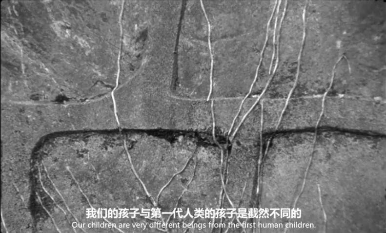 最后与最初的人类/从始至终，仅此一人/人类向何处去/Last and First Men