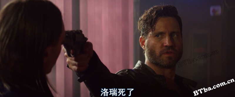 美国最后一宗罪案/美国犯罪的末日/美国犯罪的最后日子/The Last Days of American Crime
