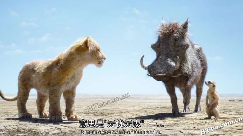 狮子王/狮子王真实版/狮子王真人版/The Lion King