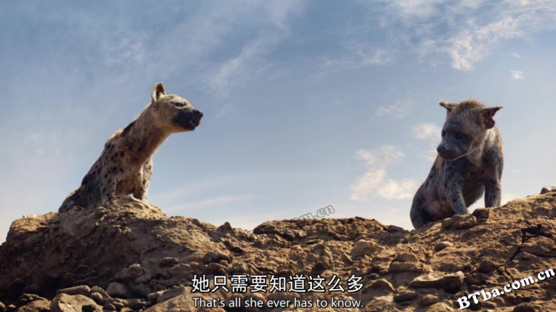 狮子王/狮子王真实版/狮子王真人版/The Lion King