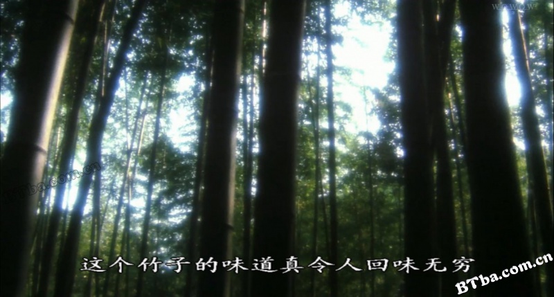 竹取物语/Taketori monogatari/Kaguya