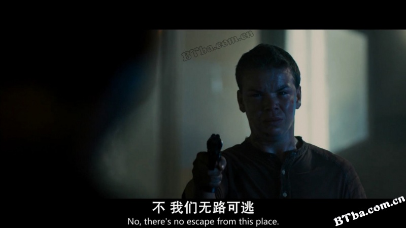 移动迷宫/迷宫行者/The Maze Runner 移动迷宫/迷宫行者/The Maze Runner