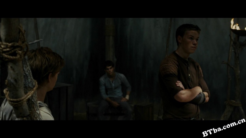 移动迷宫/迷宫行者/The Maze Runner 移动迷宫/迷宫行者/The Maze Runner