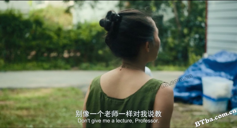 车道/Driveways