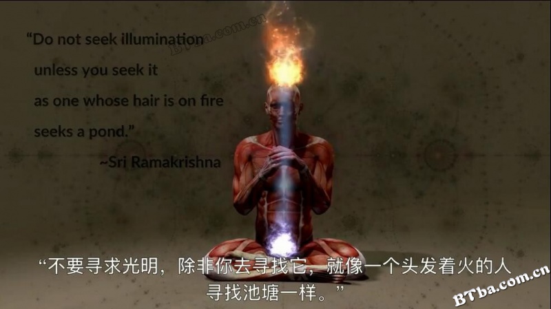 三摩地 第2部 非你所想/Samadhi: Part 2 (It's Not What You Think)