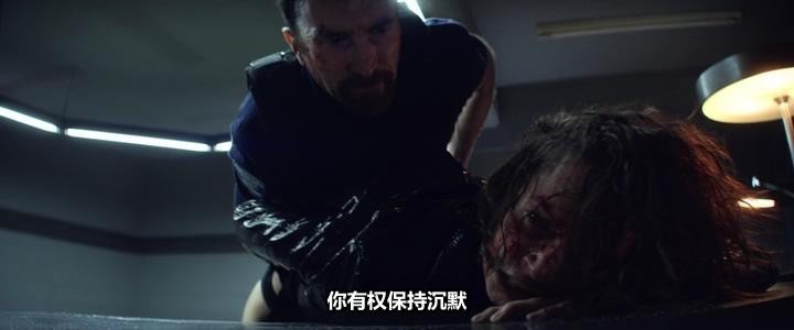 美国最后一宗罪案/美国犯罪的末日/美国犯罪的最后日子/The Last Days of American Crime