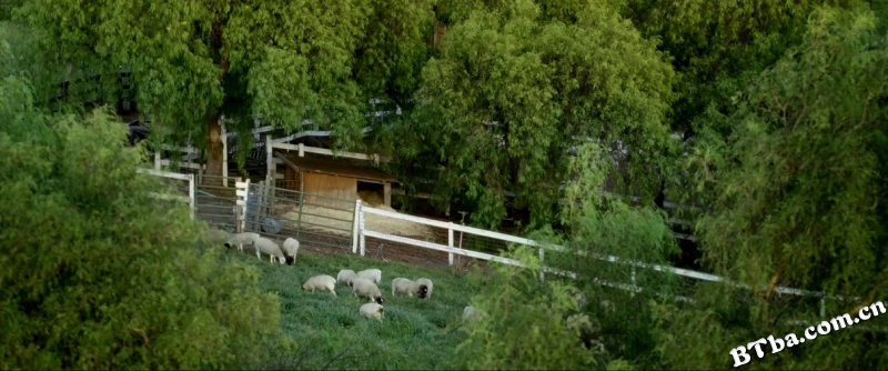 最大的小小农场/我家有个开心农场(台)/The Biggest Little Farm