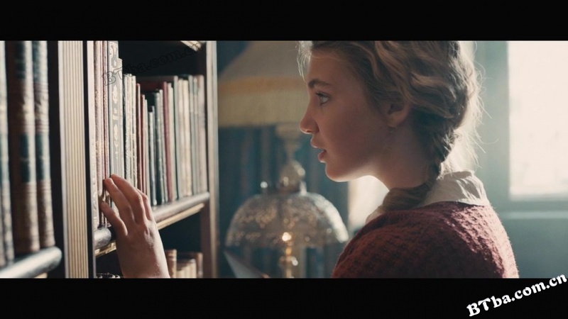 偷书贼/窃书贼/The Book Thief