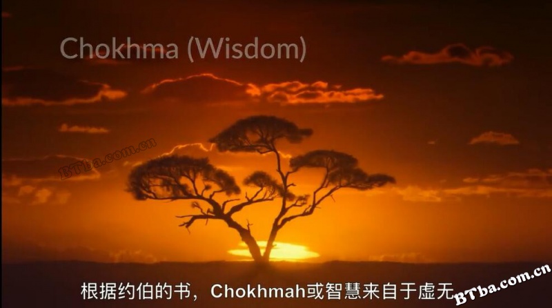 三摩地 第2部 非你所想/Samadhi: Part 2 (It's Not What You Think)