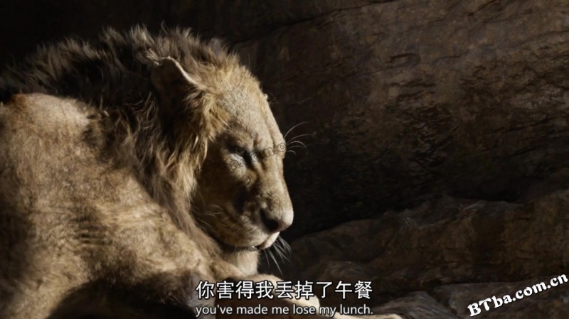 狮子王/狮子王真实版/狮子王真人版/The Lion King