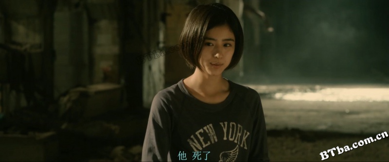 流浪者年代记/Strayer's Chronicle 流浪者年代记/Strayer's Chronicle