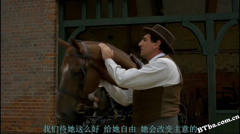 黑骏马/黑美人/Black Beauty