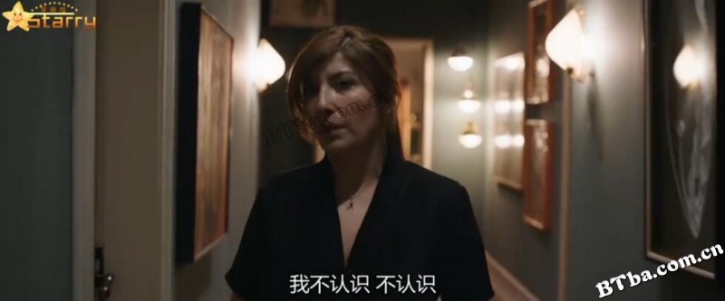 完美陌生人(土耳其版)/Cebimdeki Yabanci