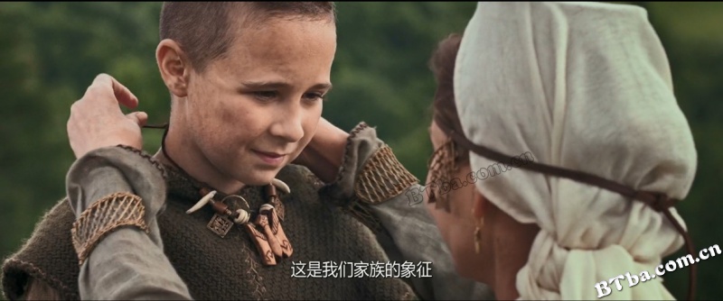 驯鹰者的崛起/The Rising Hawk
