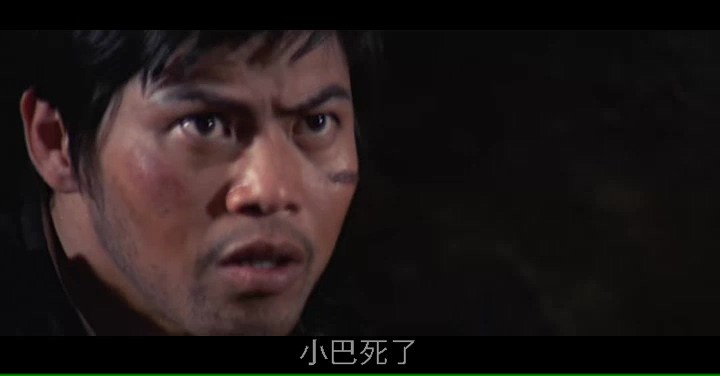 亡命徒/The Fugitive