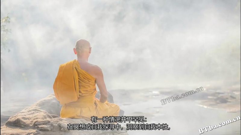 三摩地 第一部 玛雅，自我的幻象/三摩地/三昧/Samadhi