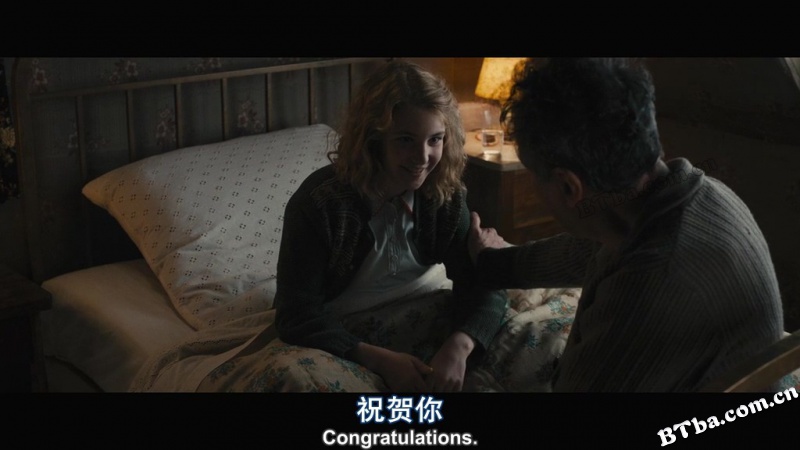 偷书贼/窃书贼/The Book Thief
