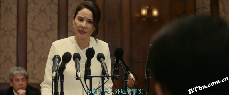 不存在于记忆中/首相失忆了(港)/失忆的总理大臣(台)/記憶にございません！