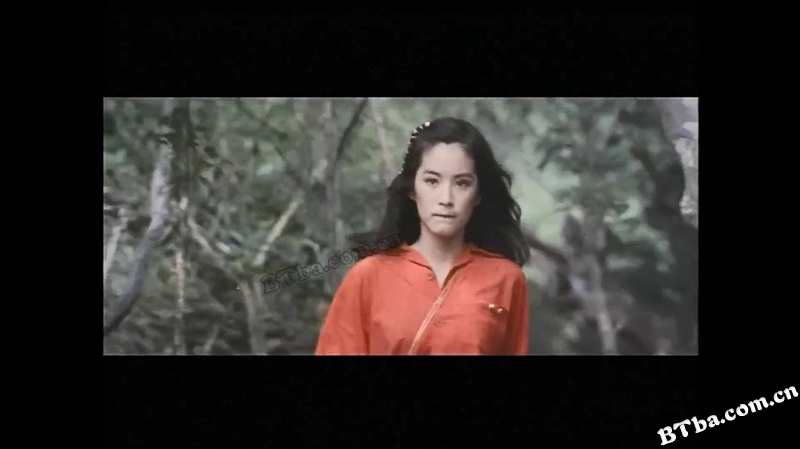 一颗红豆/A love seed