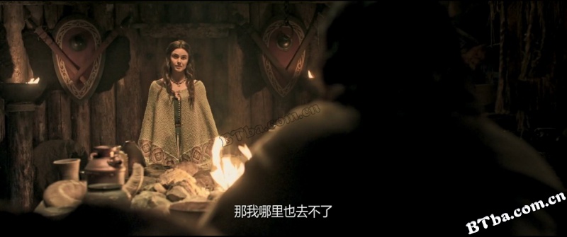 驯鹰者的崛起/The Rising Hawk