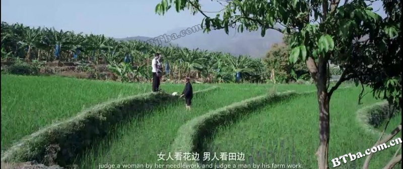 花腰恋歌/Love Song of Huayao Thai