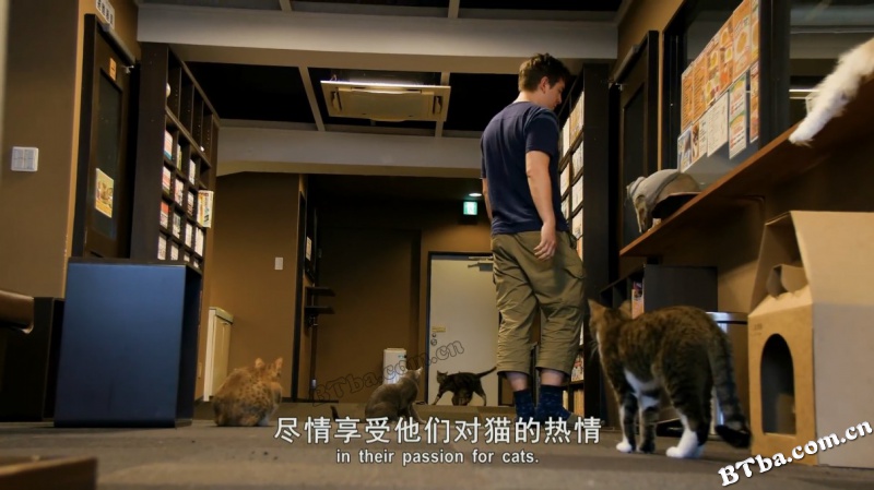 猫咪国度/猫之国度：关于日本疯狂的猫文化/Cat Nation: A Film About Japan's Crazy Cat Culture