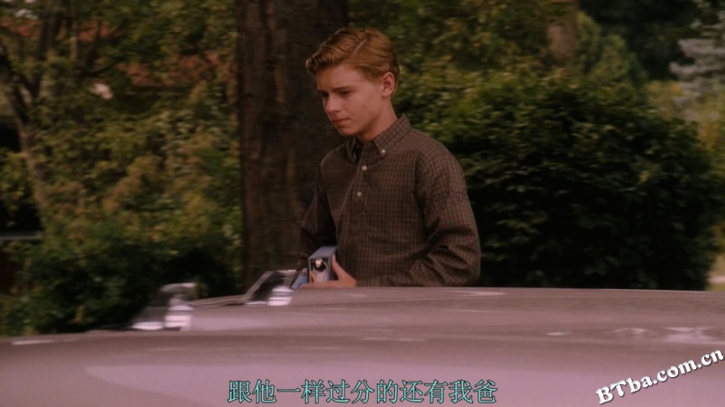 怦然心动/萌动青春/青春萌动/Flipped