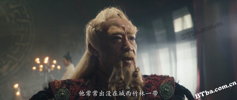 龙虎山张天师/Master Zhang