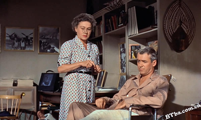 后窗/Rear Window/Fenêtre sur cour