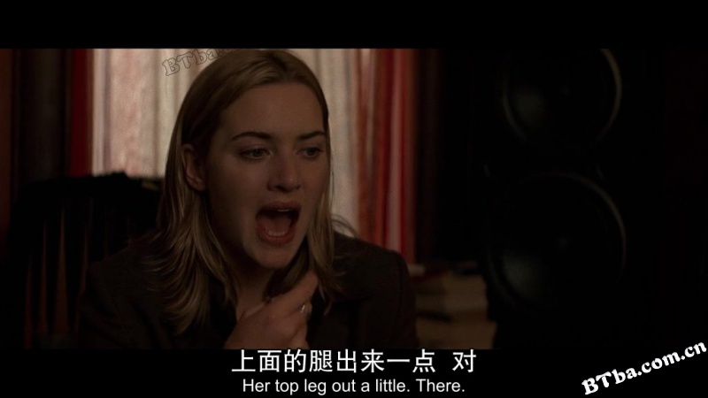 大卫·戈尔的一生/铁案悬谜/The Life of David Gale